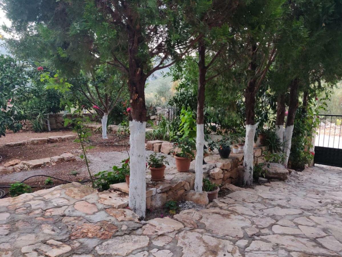 Olivia Homes Kaş Exterior foto