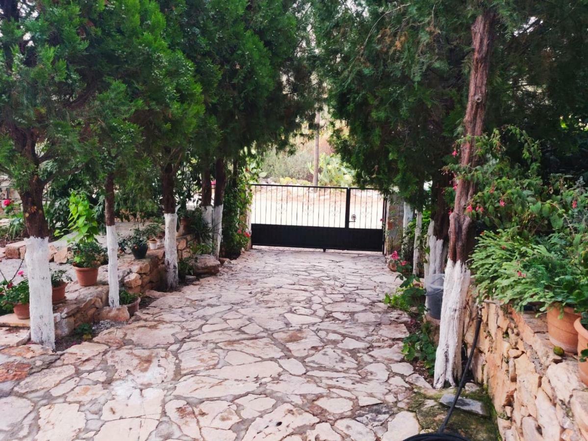 Olivia Homes Kaş Exterior foto